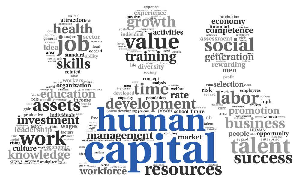 Human Capital Management: A Comprehensive Solution for Companies